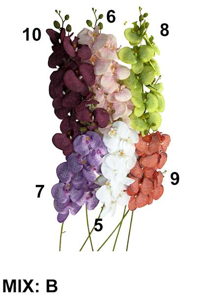 Gałązka storczyka, WR005