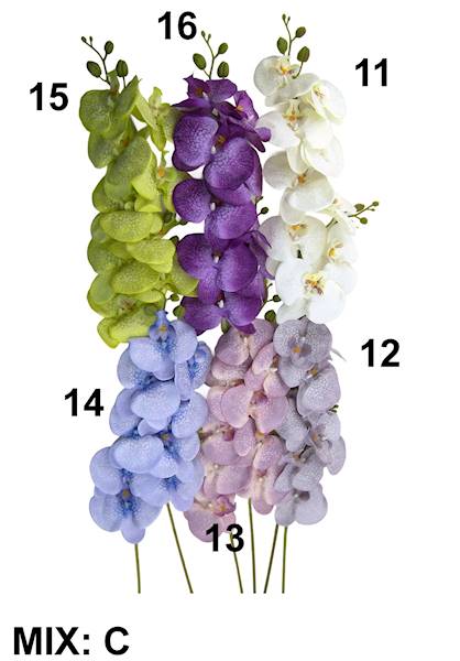 Gałązka storczyka, WR005