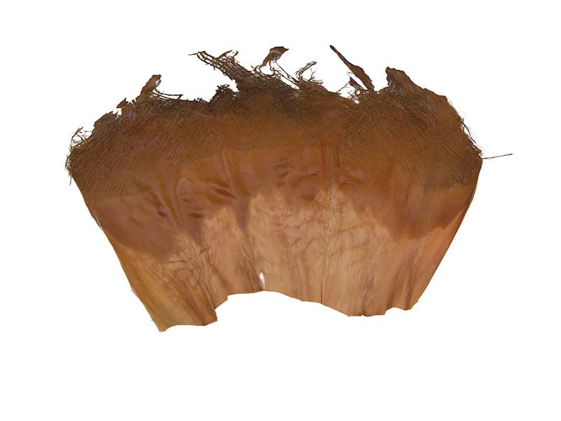 Kora palmy naturalna 250g, JEN195