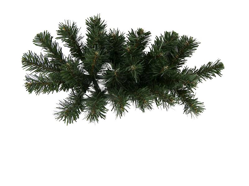 Liść średni 24o, A13