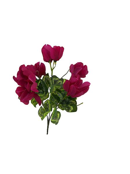 Bukiet cyklamen x5, C617 