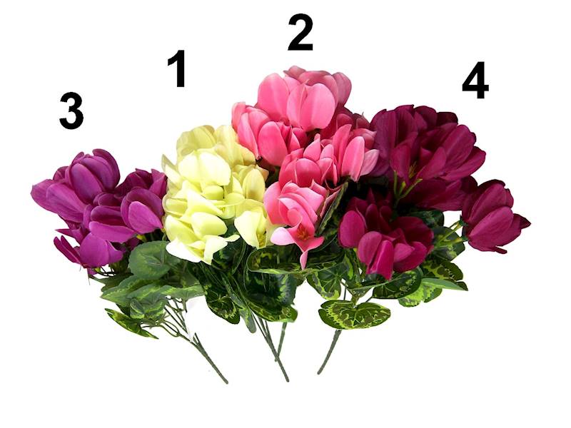 Bukiet cyklamen x5, C617 