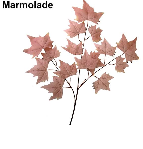 Liść klon x3, C157