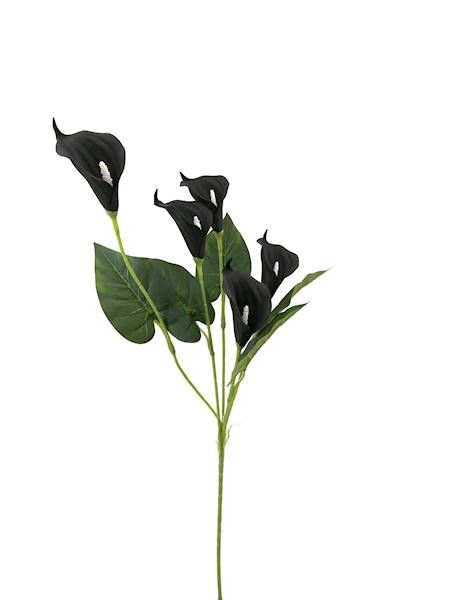 Gałązka calla x5, C621