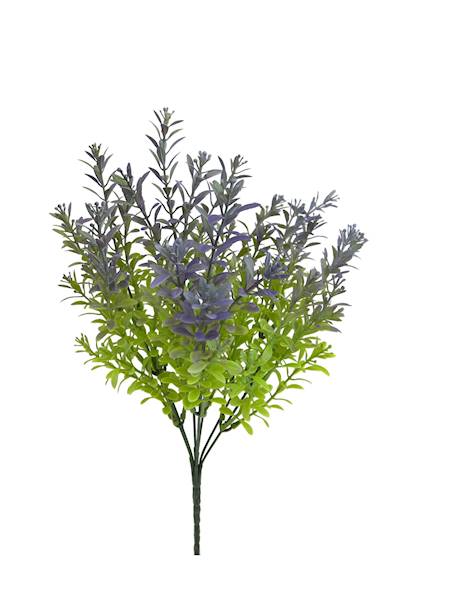 Bukiet x7 ( jesienny eukaliptus), D19