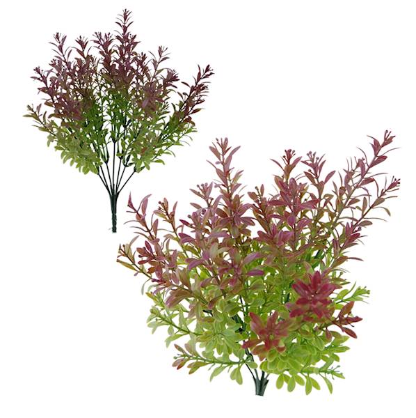 Bukiet x7 ( jesienny eukaliptus), D19