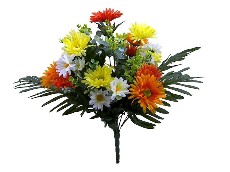 Bukiet margaretka x24, D3