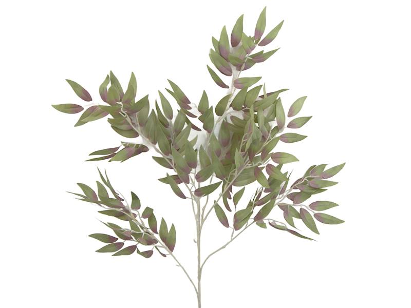 Gałązka ruskus p., C190