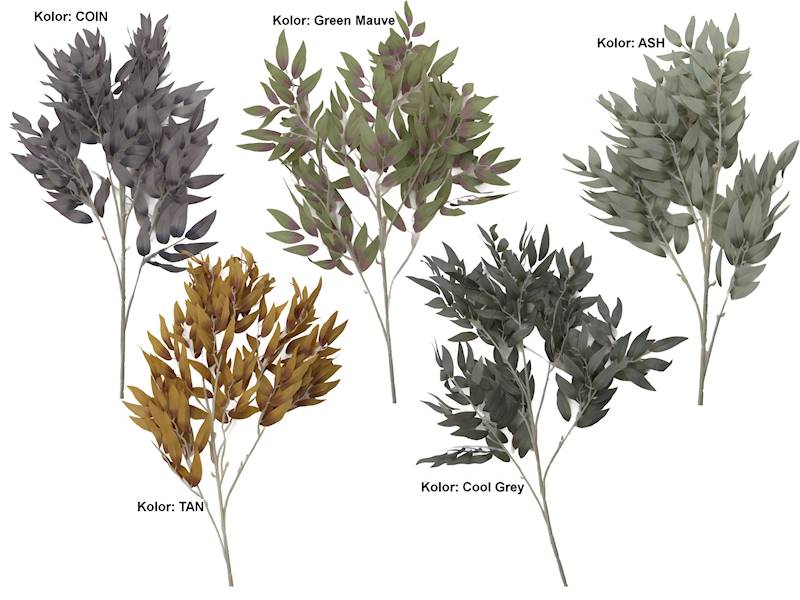 Gałązka ruskus p., C190