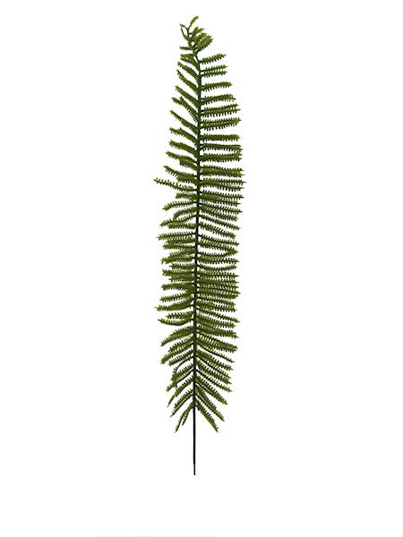 Liść paproci 42cm, FD18