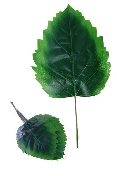 Liść pokrzywa, C524