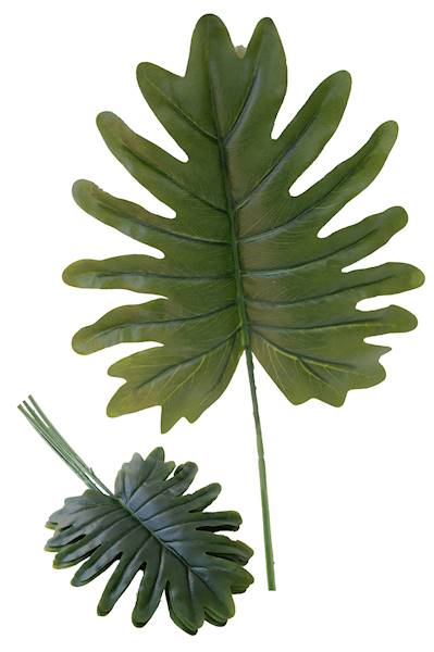 Liść filodendrona, FA611