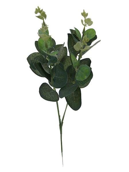 Gałązka eukaliptusa, K251