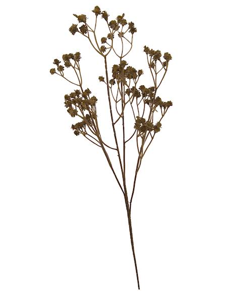 Gałązka gipsówka x4, C458