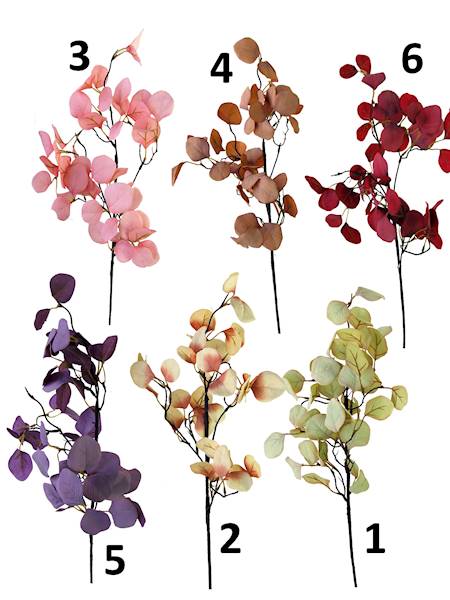 Gałązka eukaliptus x 4, C210