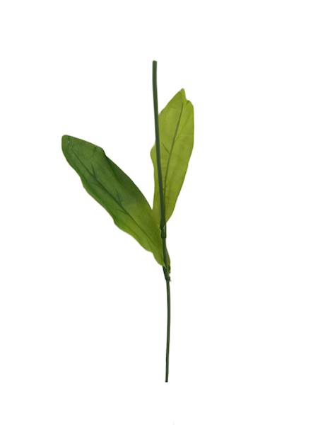 Łodyga do tulipana 60cm, K508