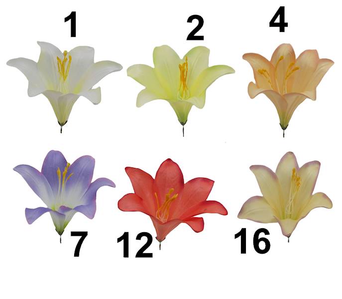 Lilia satynowa, FW374