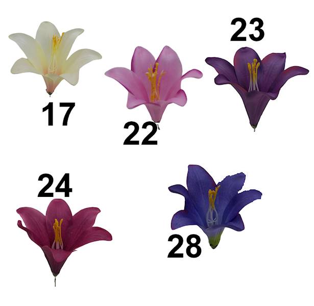 Lilia satynowa, FW374