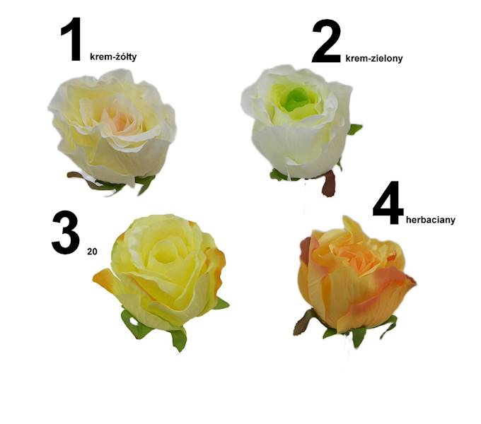 Róża pąk laleczka, K229