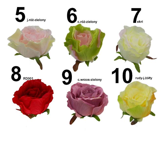 Róża pąk laleczka, K229