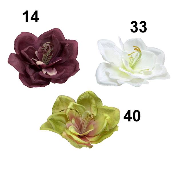 Amarylis wyrobowy, I81