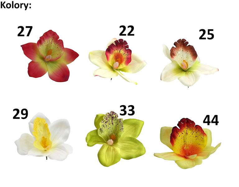 Frezja satynowa, FW677