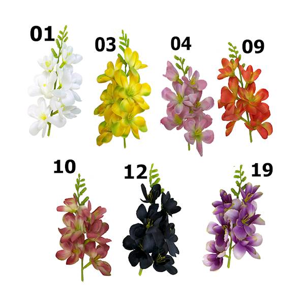 Frezja satynowa, FW677