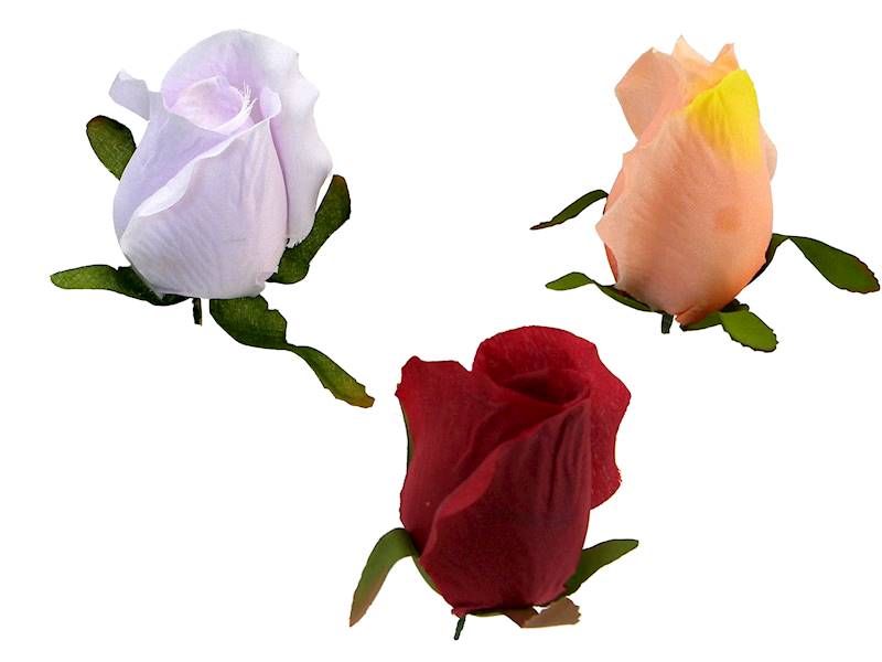 Róża wyrobowa, I21