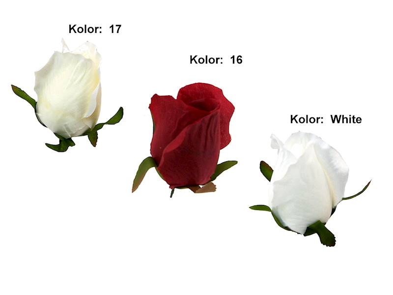 Róża wyrobowa, I21