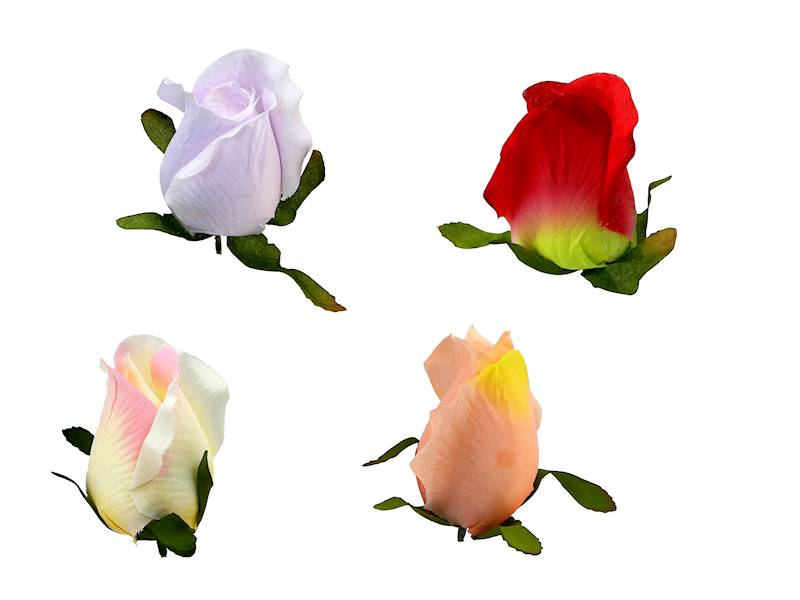 Róża wyrobowa, I21