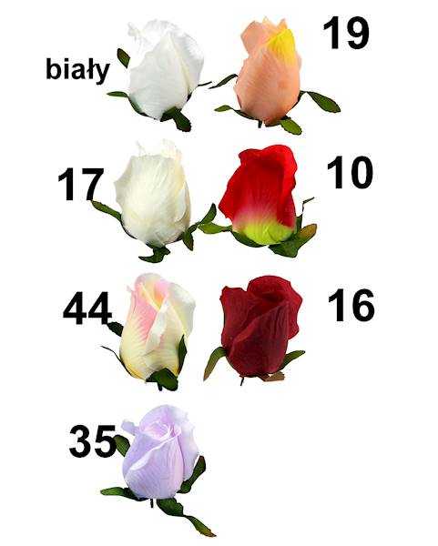 Róża wyrobowa, I21