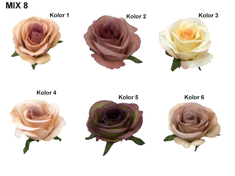 Róża mercedeska, C580