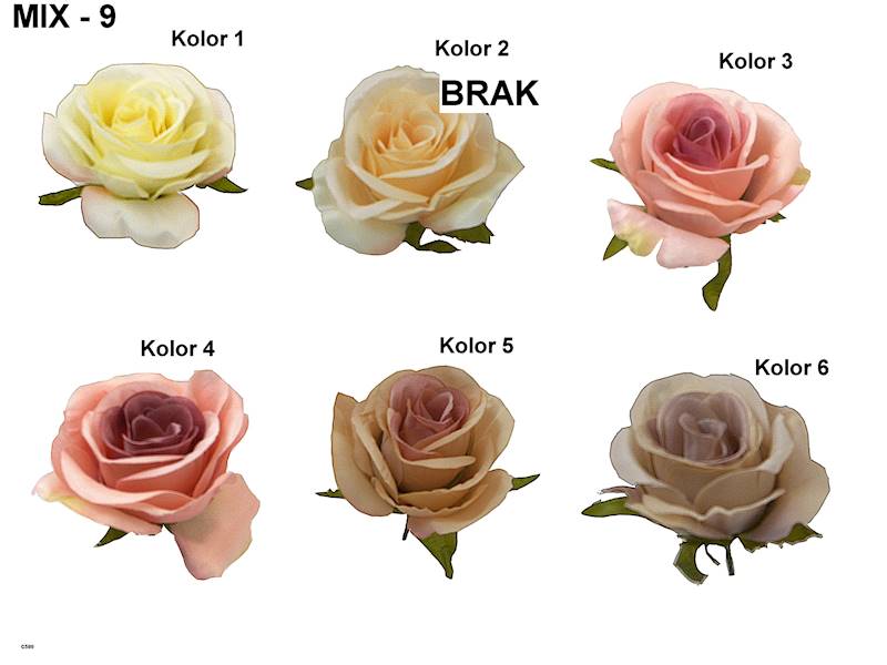 Róża mercedeska, C580