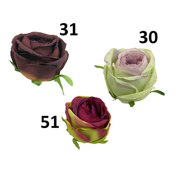 Róża wyrobowa, I78