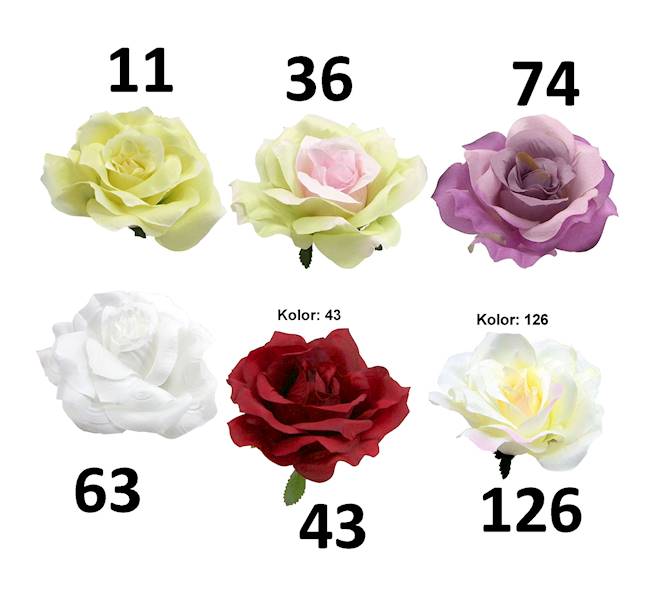 Róża wyrobowa, I79