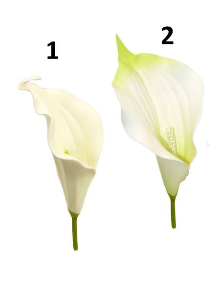 Kalla piankowa, W073410