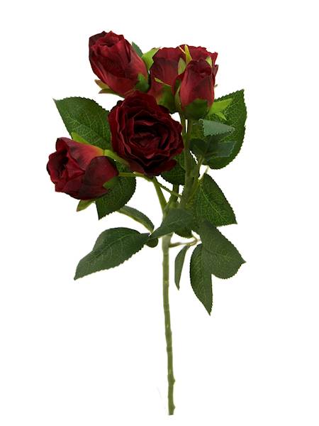 Róża na łodydze, I54