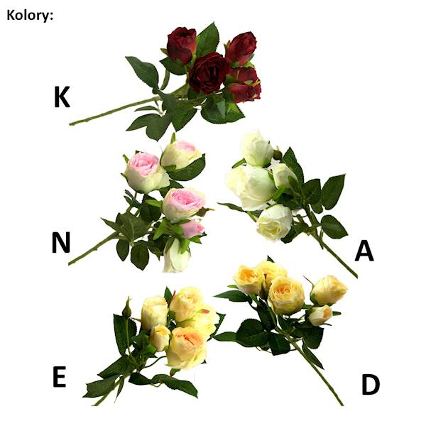Róża na łodydze, I54