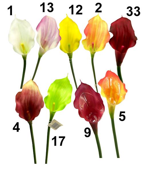 Kalla mała łodyga, K413