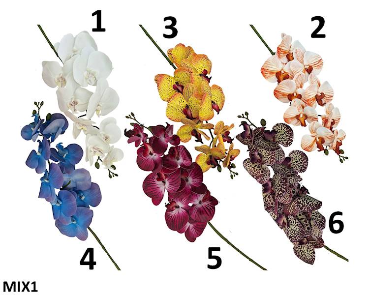 Storczyk na łodydze guma, FD35