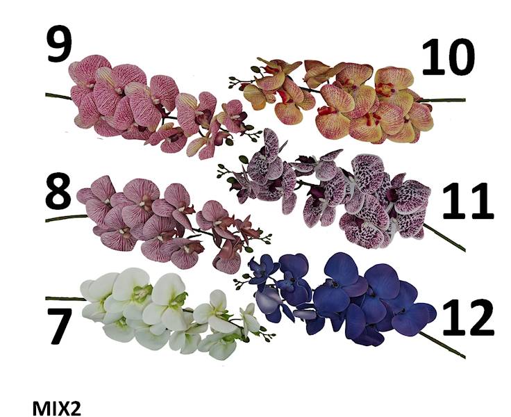 Storczyk na łodydze guma, FD35