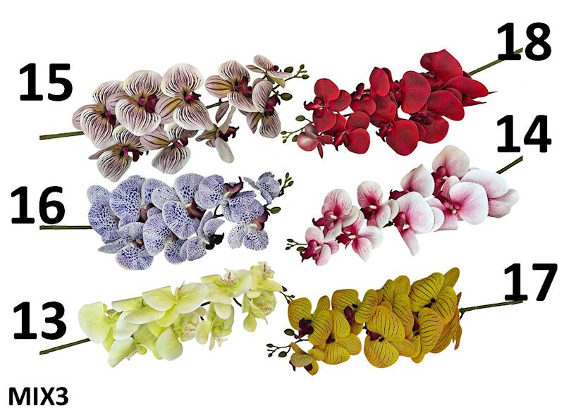 Storczyk na łodydze guma, FD35