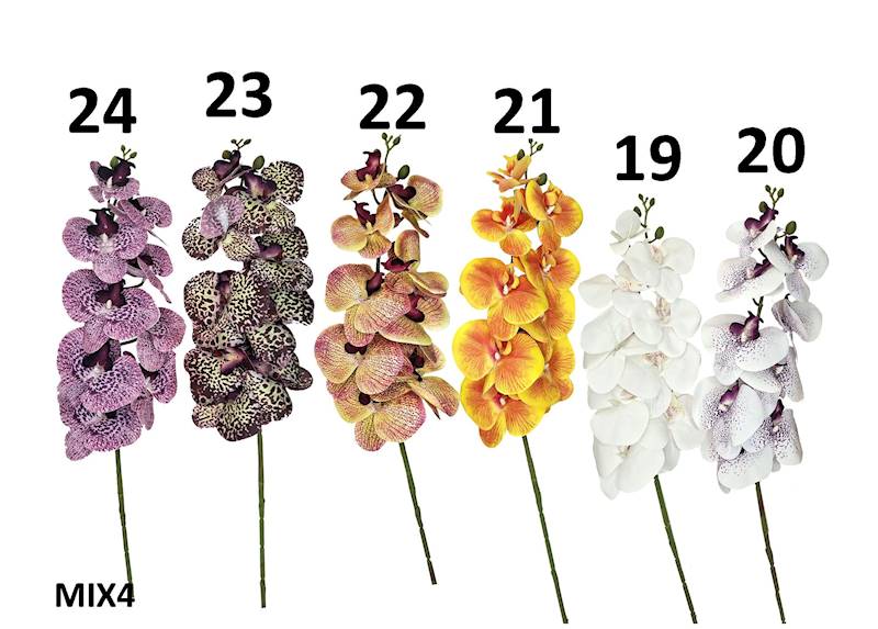 Storczyk na łodydze guma, FD35