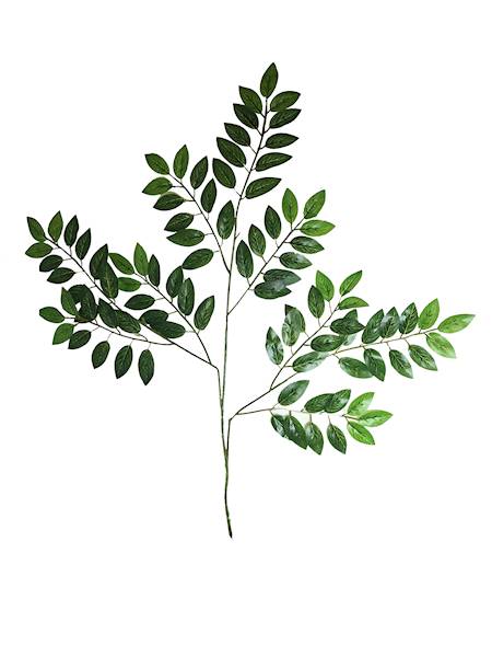 Liść akacja x5, C453