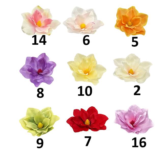 Magnolia wyrobowa 17cm, FD2