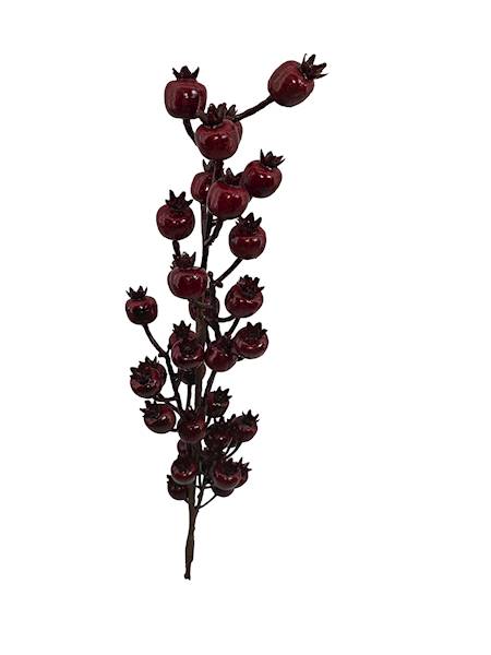 Gałązka dzika róż, C637