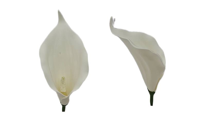 Kalla wyrobowa, G418