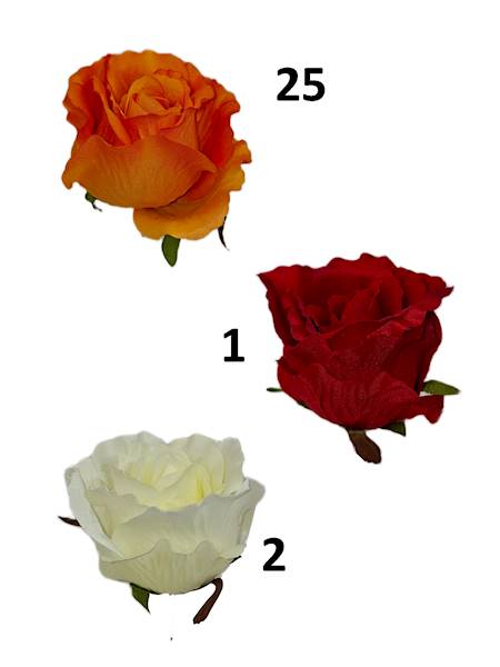 Róża laleczka, FD34