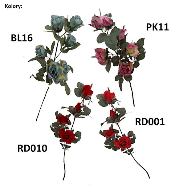 Róża gałązka omszała, K225