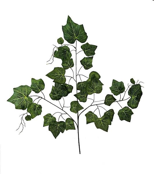 Winorośl (3x9), F011